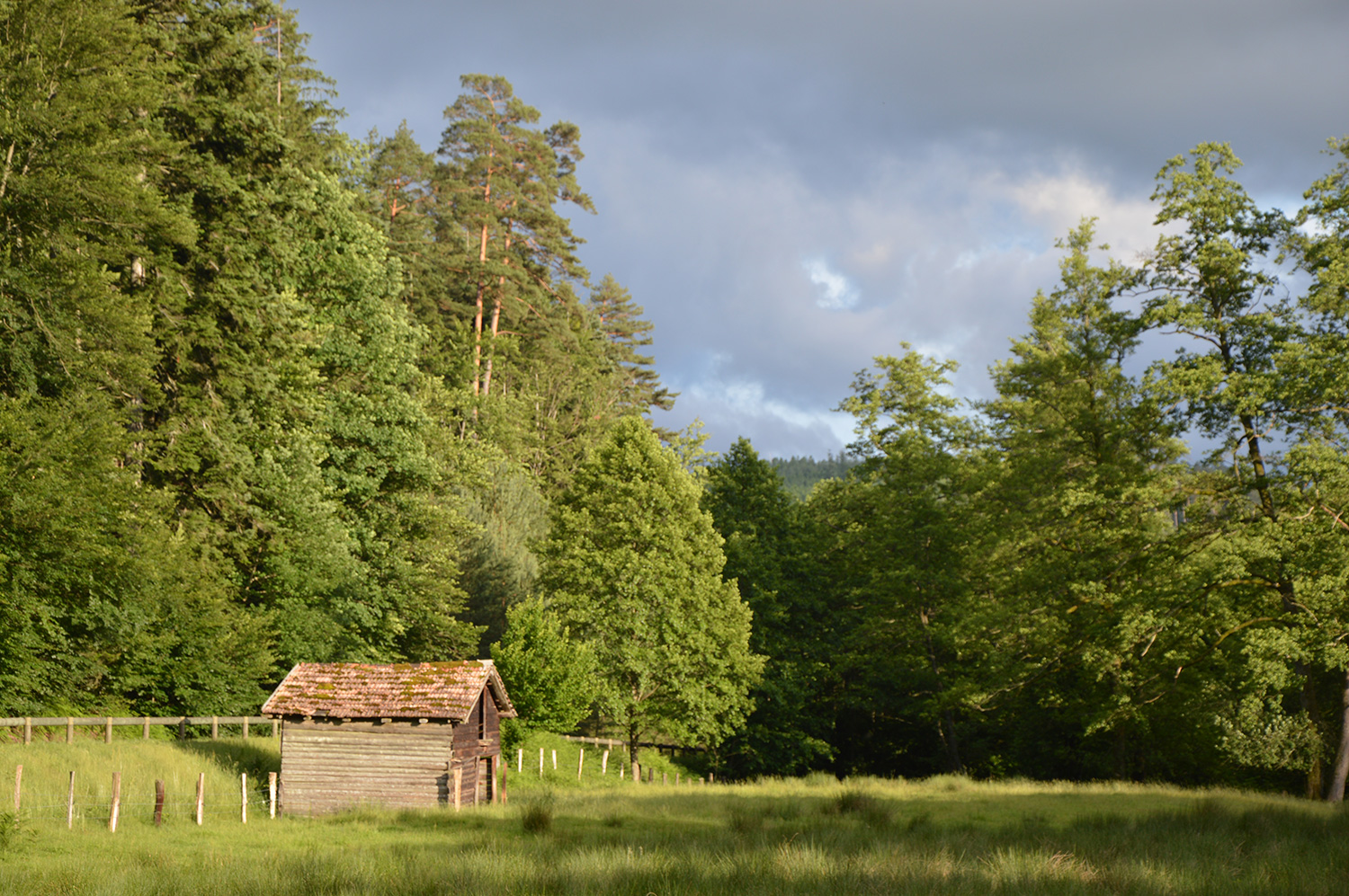 Mairie de Turquestein-Blancrupt